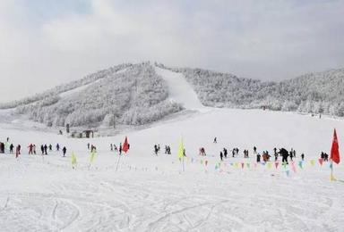 华中最大最好的滑雪场神农架国际滑雪场纯滑雪活动 武汉直通车（2日行程）