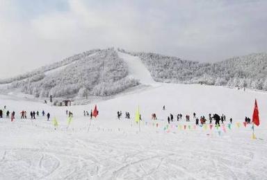 全天不限时滑雪 华中最大最好的滑雪场神农架国际滑雪场 纯滑雪活动 武汉直通车（2日行程）