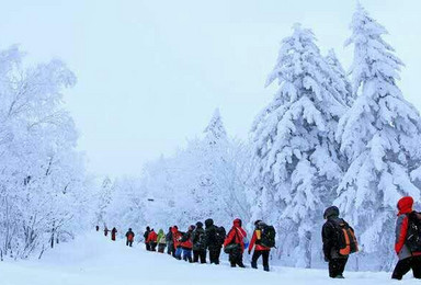 吉林老里克湖 魔界 观赏冰雕 穿越林海雪原（3日行程）