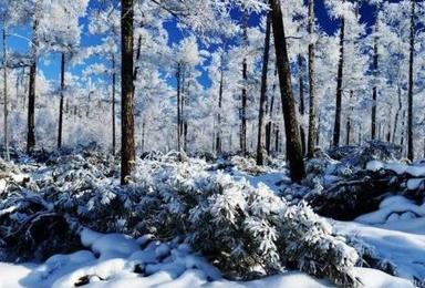 冰情雪韵哈尔滨 穿越林海雪谷 童话雪乡 魔界 长白山 吉林雾凇岛深度体验之旅（7日行程）