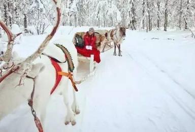 遇见北欧 珍珠泉第三季环球冰雪圣诞村欢乐开幕 山水首发班开始报名啦 小伙伴们 一起约起来吧（1日行程）
