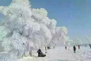 冰雪哈尔滨 雪乡雪谷 长白山 雾凇岛出行计划（7日行程）