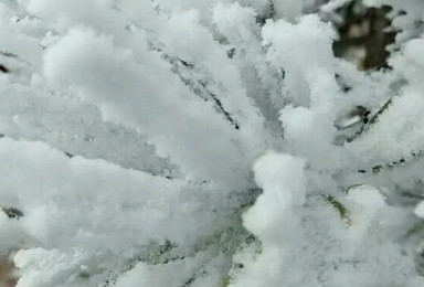 天门山冰雪大世界（1日行程）