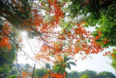 石门公园赏枫之旅 给你一个秋天的童话（1日行程）
