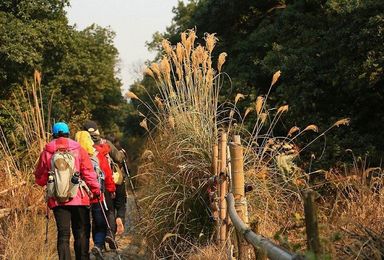 先报先得 徒步栲栳山 赏鸣鹤古镇（1日行程）