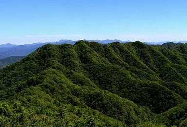 中国最美的地方嵩县白云山（1日行程）