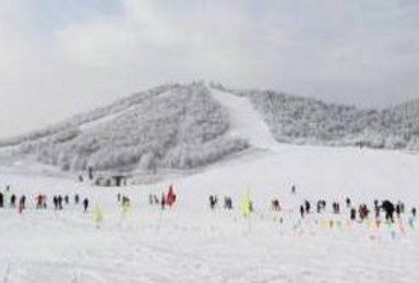 神农架国际滑雪场 华中最大最好的滑雪场纯滑雪活动 武汉直通车（2日行程）