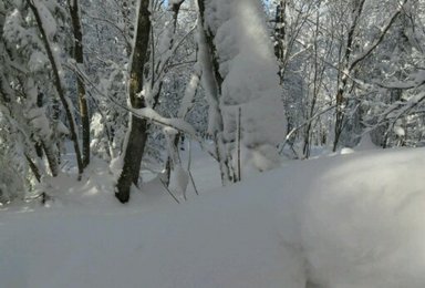 昌图绿野铁岭滑雪 单日活动（1日行程）
