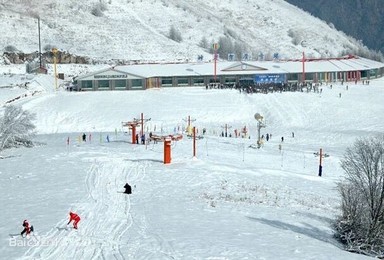 神农架滑雪泡温泉 体验不一样的圣诞节（2日行程）