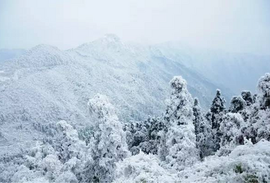 衡山看雪赏松（2日行程）