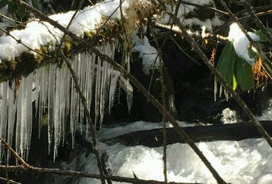 元旦赏雪露营活动（2日行程）