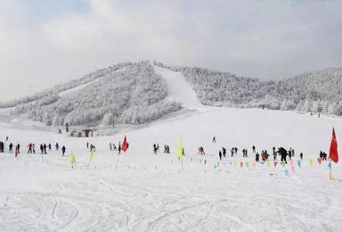 神农架国际滑雪场纯滑雪活动 武汉直通车（2日行程）