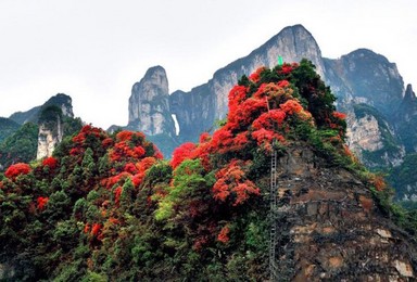 中国国家地理最美峡谷之旅（8日行程）