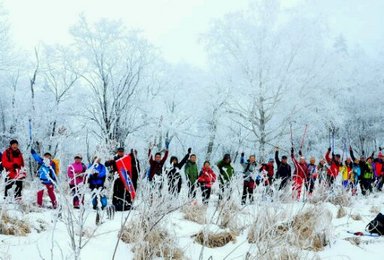 伊春市赏冰乐雪迎新春系列活动一森林徒步（1日行程）