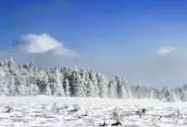 东北印象 冬季到北国来看雪游（7日行程）