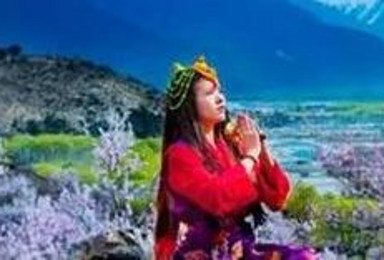 寻找最美春天 拉萨 林芝桃花节 羊湖 日喀则西藏双卧召集（12日行程）