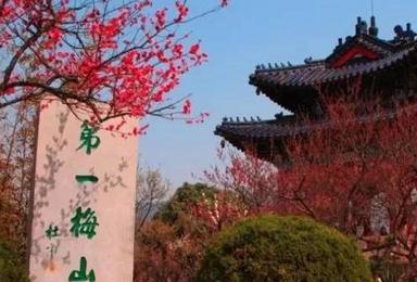 南京赏梅花 总统府 明孝陵 中山陵 夫子庙逛庙会(2日行程) 南京赏梅花 总统府 明孝陵 中山陵 夫子庙逛庙会(2日行程)