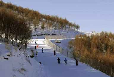 伏牛山滑雪场免费滑雪（1日行程）