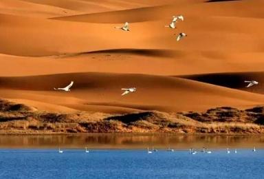 中国第四大沙漠 腾格里沙漠穿越 苍天圣地阿拉善（4日行程）