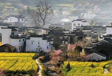 带您探寻中国最美村落 油菜花之乡婺源 三清山（3日行程）