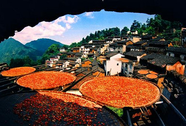 三月火车团 婺源油菜花 婺源美食美景 探秘婺源古村 周末玩转婺源（3日行程）