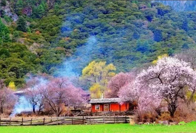 2016年3月川藏线林芝桃花自驾摄影活动（12日行程）