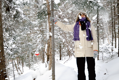 哈尔滨 HAERBIN 漫步冰雪间，钻进圣诞夜里的童话世界！