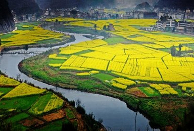 五岭古道 看油菜花海(3日行程) 五岭古道 看油菜花海(3日行程)
