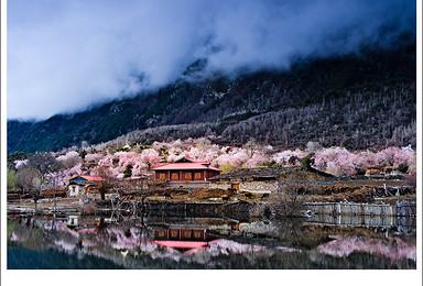 行摄西藏 中国最美春天 林芝桃花节（8日行程）