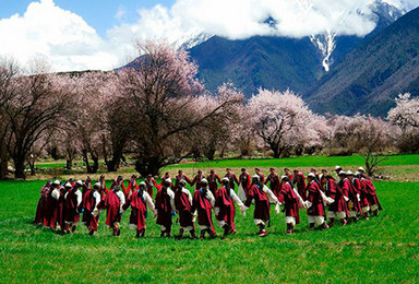 3月春暖西藏林芝桃花节深度探游（9日行程）