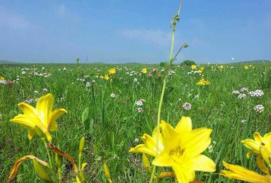 2016越野车深入乌兰布统坝上草原 承德避暑山庄 金山岭长城摄影游(6日行程) 2016越野车深入乌兰布统坝上草原 承德避暑山庄 金山岭长城摄影游(6日行程)
