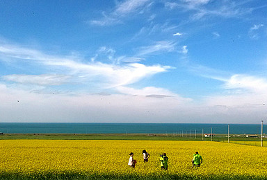 青海湖边骑单车（1日行程）