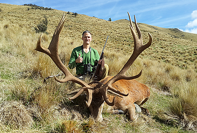 定制团 新西兰赤鹿和全野外狩猎(8日行程）