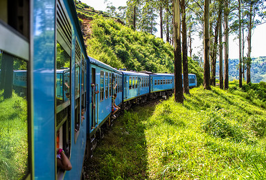 走到世界尽头，穿越原始农村，雅拉动物寻觅（斯里兰卡双火车8日）