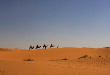 穿越沙漠秘境腾格里（4日行程）（4日行程）