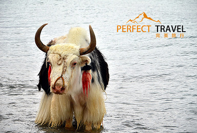 Perfect Travel.西藏7.16-7.27登上世界屋脊,走进雪域天堂