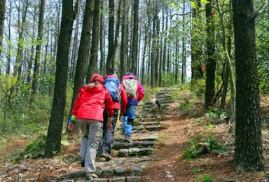 探秘莫干山 人文荟萃蒋公道环形徒步（1日行程）