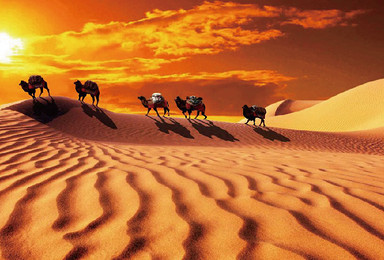 腾格里沙漠 亲子体验 奇幻沙漠（5日行程）