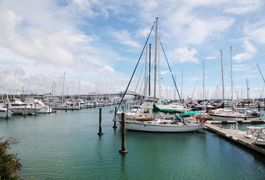 新西兰“奥克兰之光”号风帆游艇都市风情半日游 儿童（1日行程）