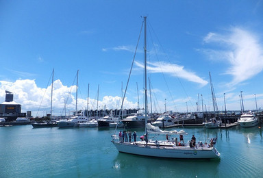 新西兰“奥克兰之光”号风帆游艇午间巡游 儿童（1日行程）