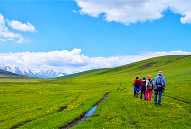 7月新疆 在这夏花绚烂的季节 去徒步喀纳斯（9日行程）