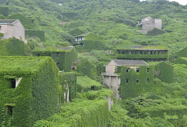 海上牧场 枸杞岛行摄（3日行程）