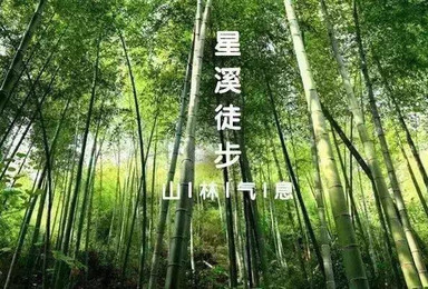 徒步最美竹林 吃竹筒饭 摘李子采杨梅（1日行程）