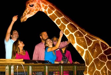 泰国清迈夜间野生动物园观光探险之旅 (含接送)（1日行程）