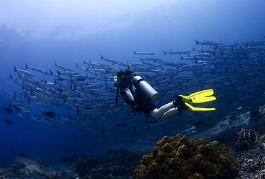 海南三亚亚龙湾海底世界远海潜水（1日行程）