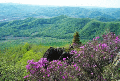 香炉山18弯戏水登山徒步（1日行程）