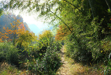 徒步上青古道 探寻兰若寺（1日行程）