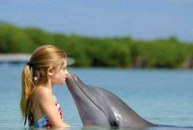 “发现海豚之旅”巴厘岛一日游（含往返船票，接送）（2人起订）（1日行程）