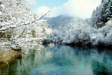 最美川西 九寨沟 黄龙 年保玉则 九曲黄河十八弯 花湖行摄（8日行程）