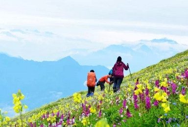 山花烂漫 九顶山花海周末两日徒步（2日行程）